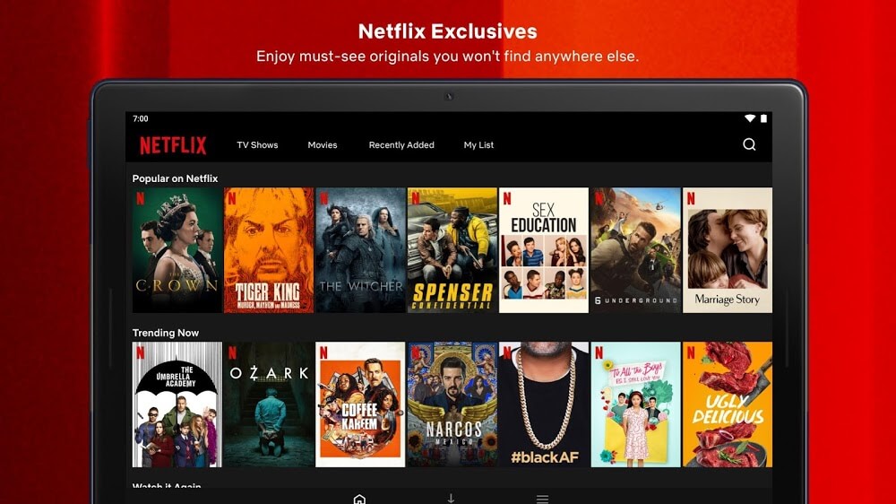 Netflix Mod