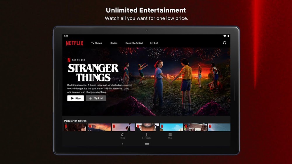 Netflix Premium Mod Apk