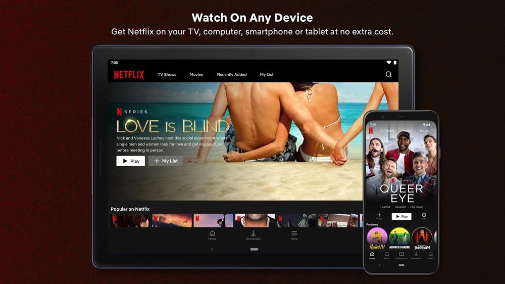 Netflix Premium Apk