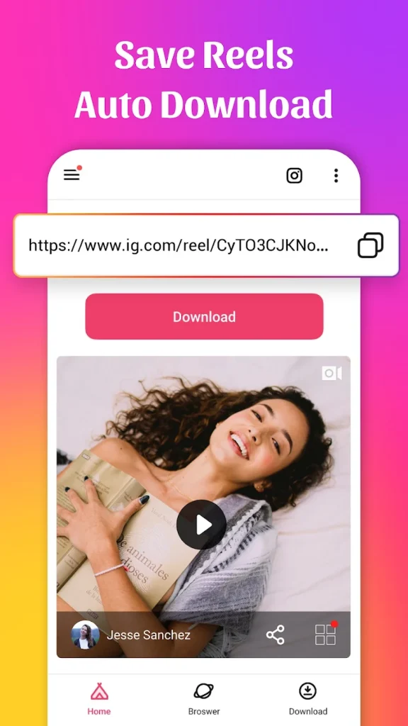 Instagram Story Download